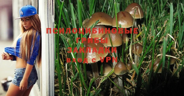 амфетамин Ельня